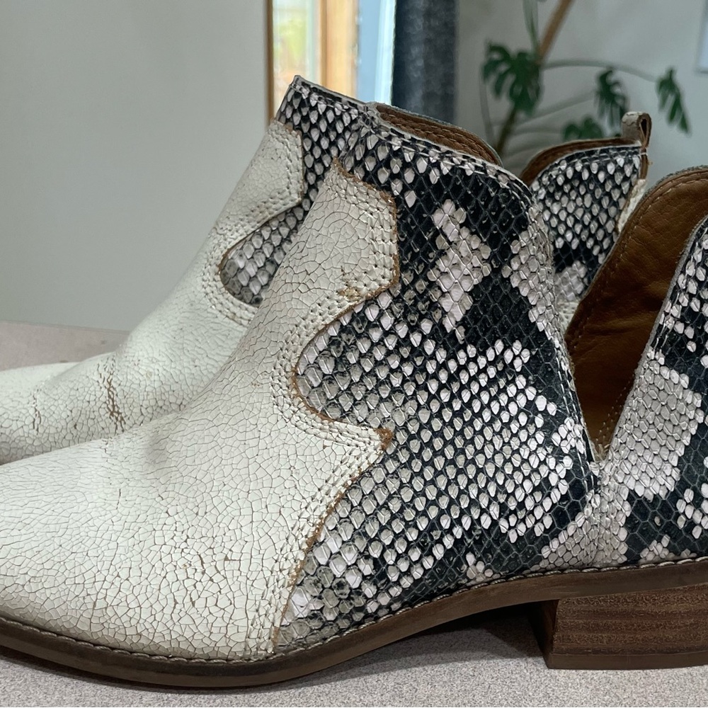 Lucky Brand Snakeskin Ankle Booties Black and Cream